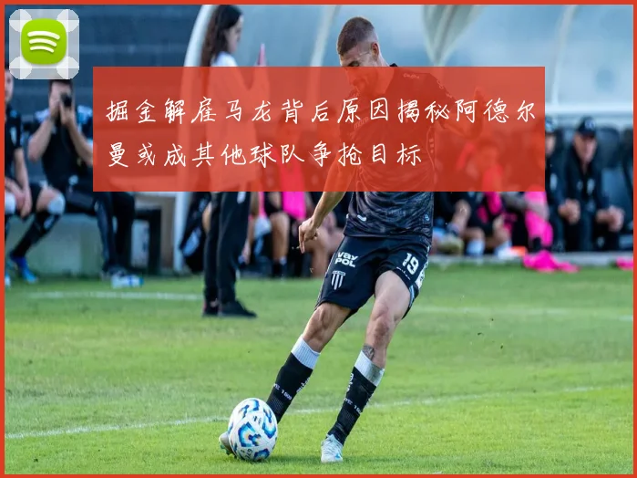 掘金解雇马龙背后原因揭秘阿德尔曼或成其他球队争抢目标